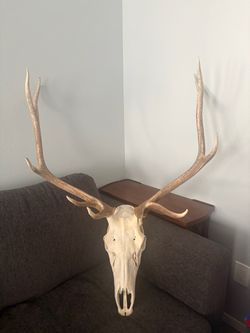 400 obo