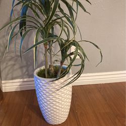 Fake Plant Decoration 