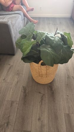 Fake plant