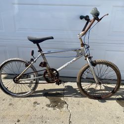 20” BMX (Skipper)Brand