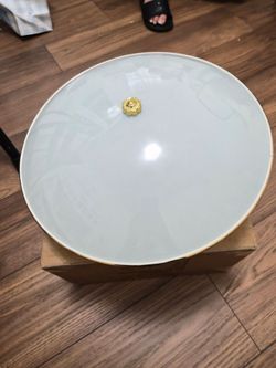 Frosted Glass ceiling light fixture