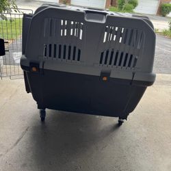 MidWest Homes for Pets Skudo Plastic Carrier, Ideal for Large Dogs