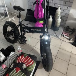 Electric Bike