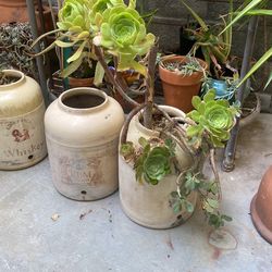 3 Vintage Pots 
