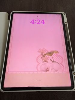 Apple Ipad Pro