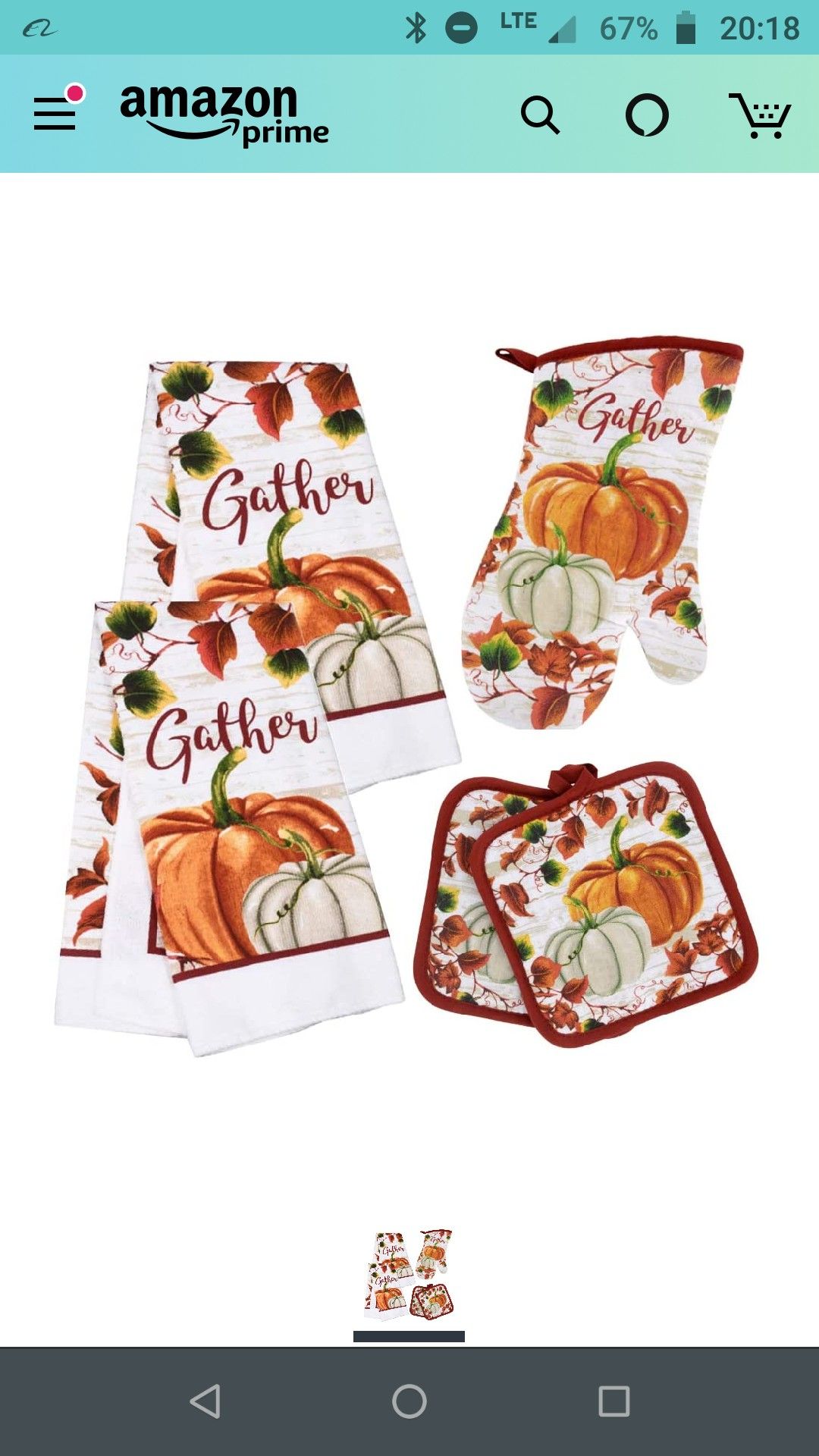 5 pieces Fall Harvest Pumpkin Gathering Kitchen Towel Hot Pads Oven Mit Set Holiday Decor