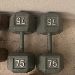 OBO$$$ 75lb Pair Of Weider Weights 