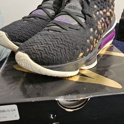 Lebron Nike 17's