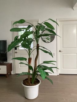 Large Artificial Plant – 5.25 Ft Tall