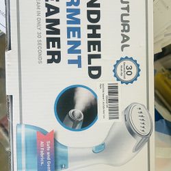 Steam Iron