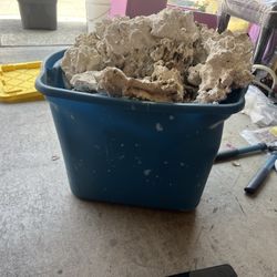 Dry Reef Rock