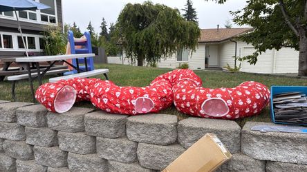 Cat tunnel