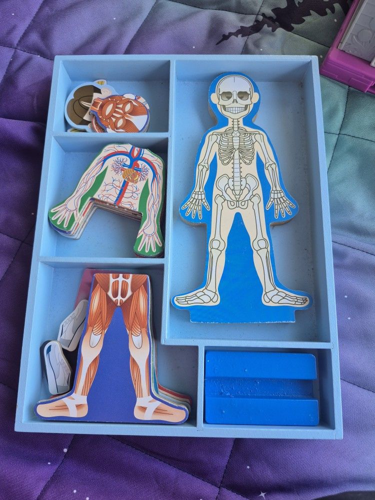 Melissa & Doug Magnetic Human Body. Like New. All Piceces