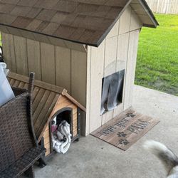 Dog House