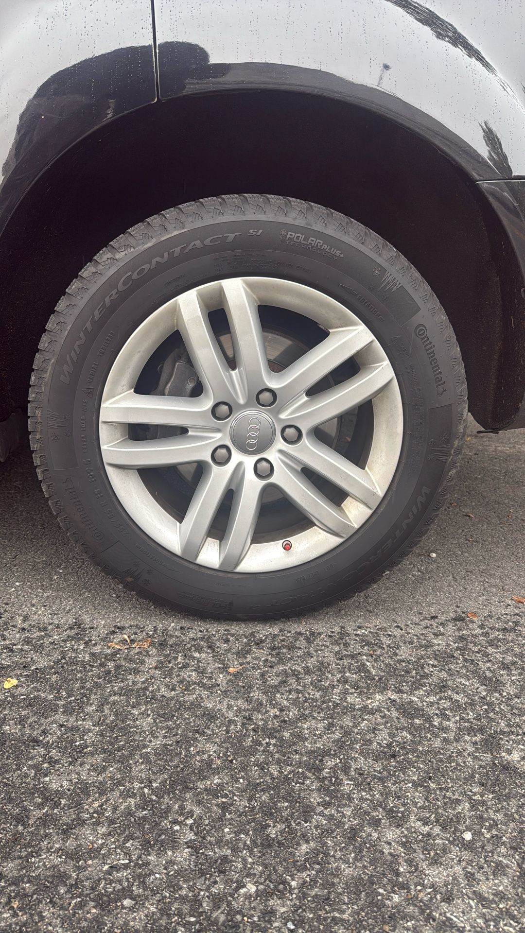 Audi Rims With Tires