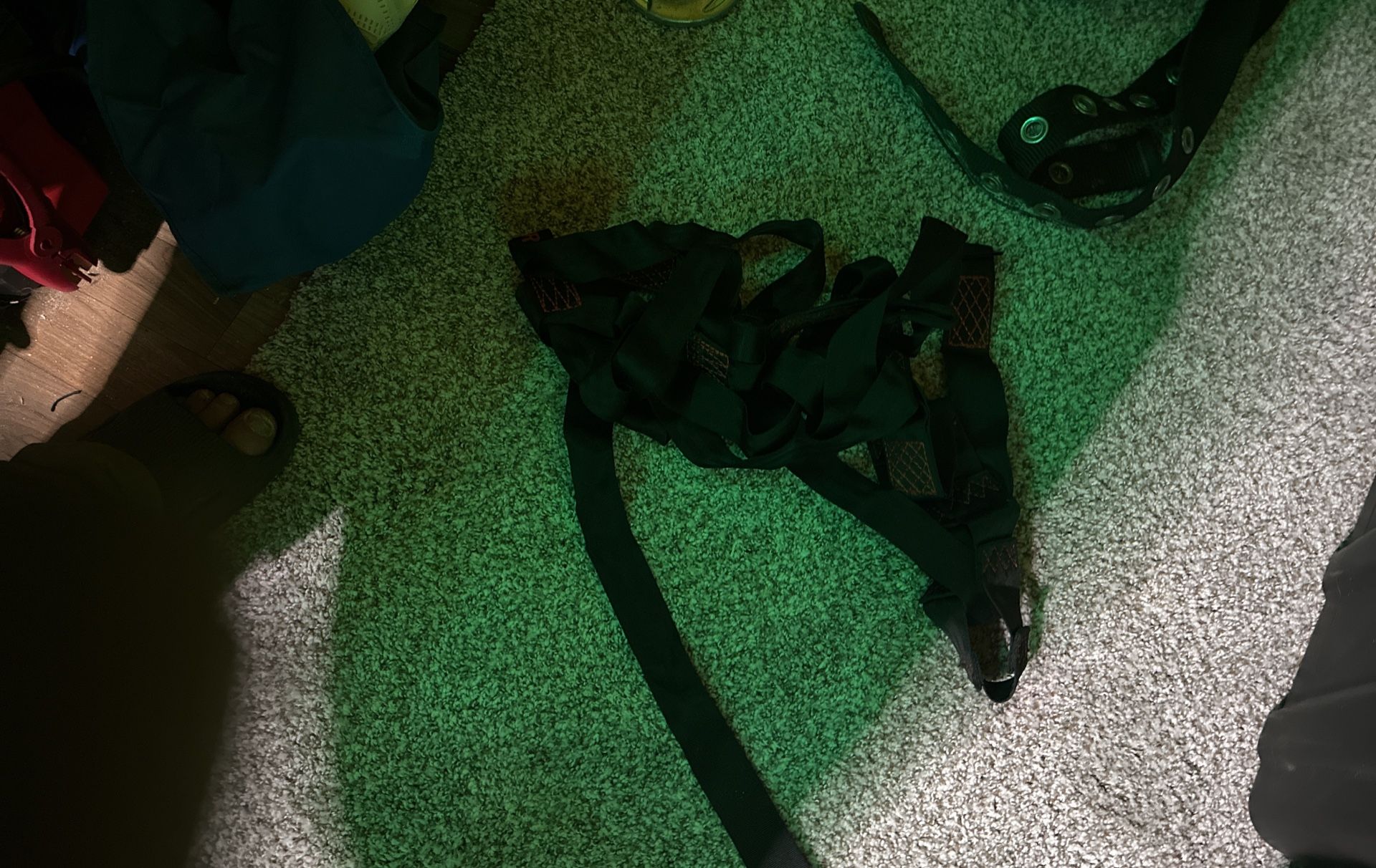 Regular Harness