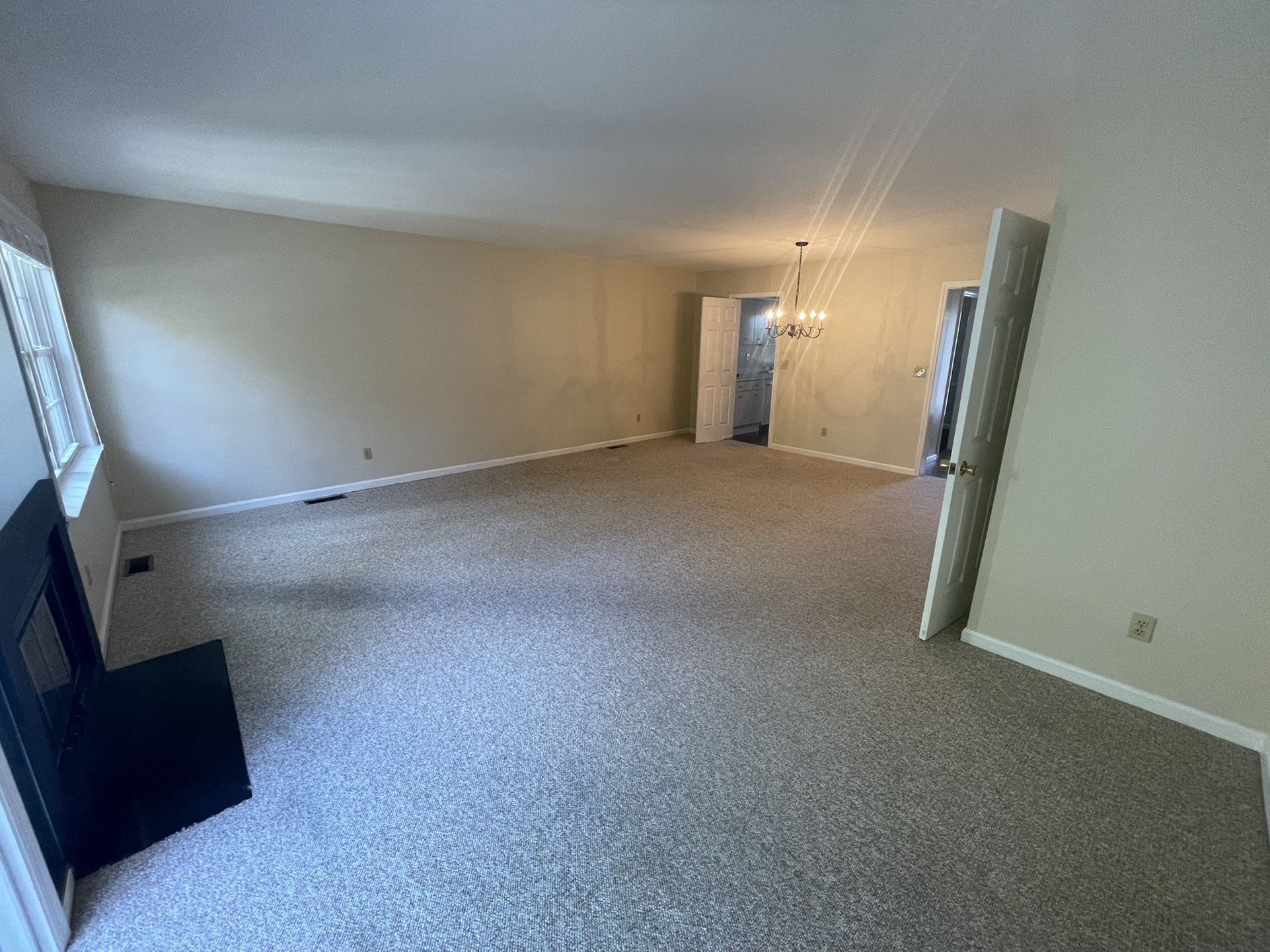 Carpet / Rug - No Pets (wall to wall)