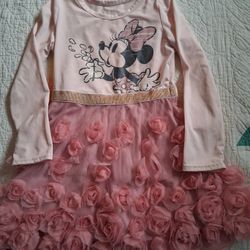 Disney Junior Minnie Mouse Tutu Dress Size 3T