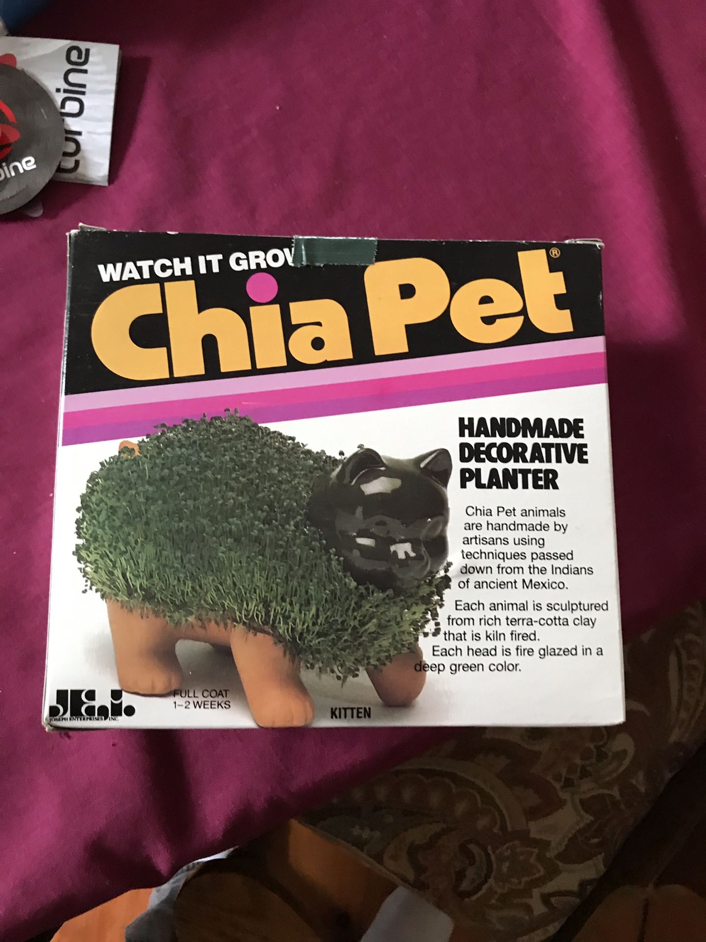 Chia Pet