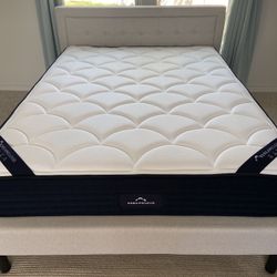 Queen Dreamcloud Mattress 