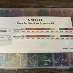 250pcs Car Blade Fuse Assortment Kit