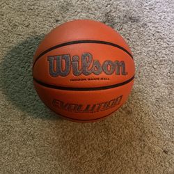 Wilson Evolution game Ball