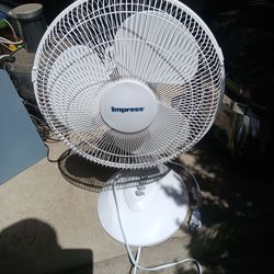 !! Fan Firm Price
