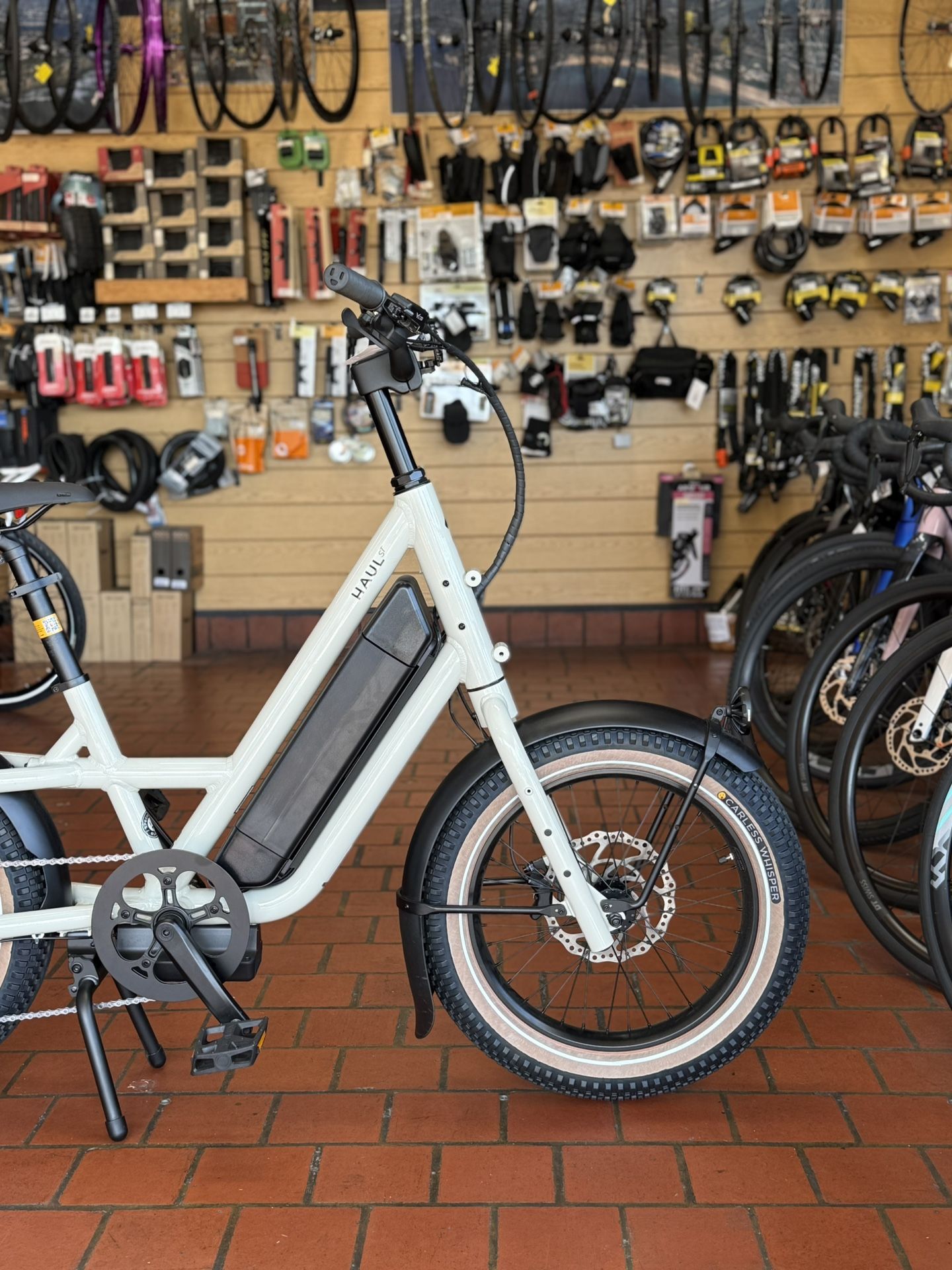 Specialized Electric Bike 