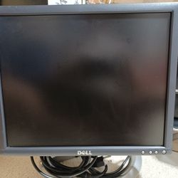 Dell Monitor VGA n DVI 