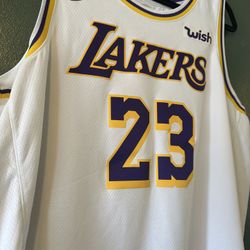 NBA Los Angeles Lakers LeBron James #23 Nike Swingman Jersey