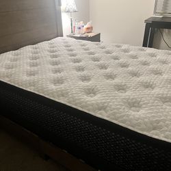 Queen Mattress