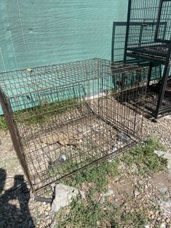 Large Dog Cage