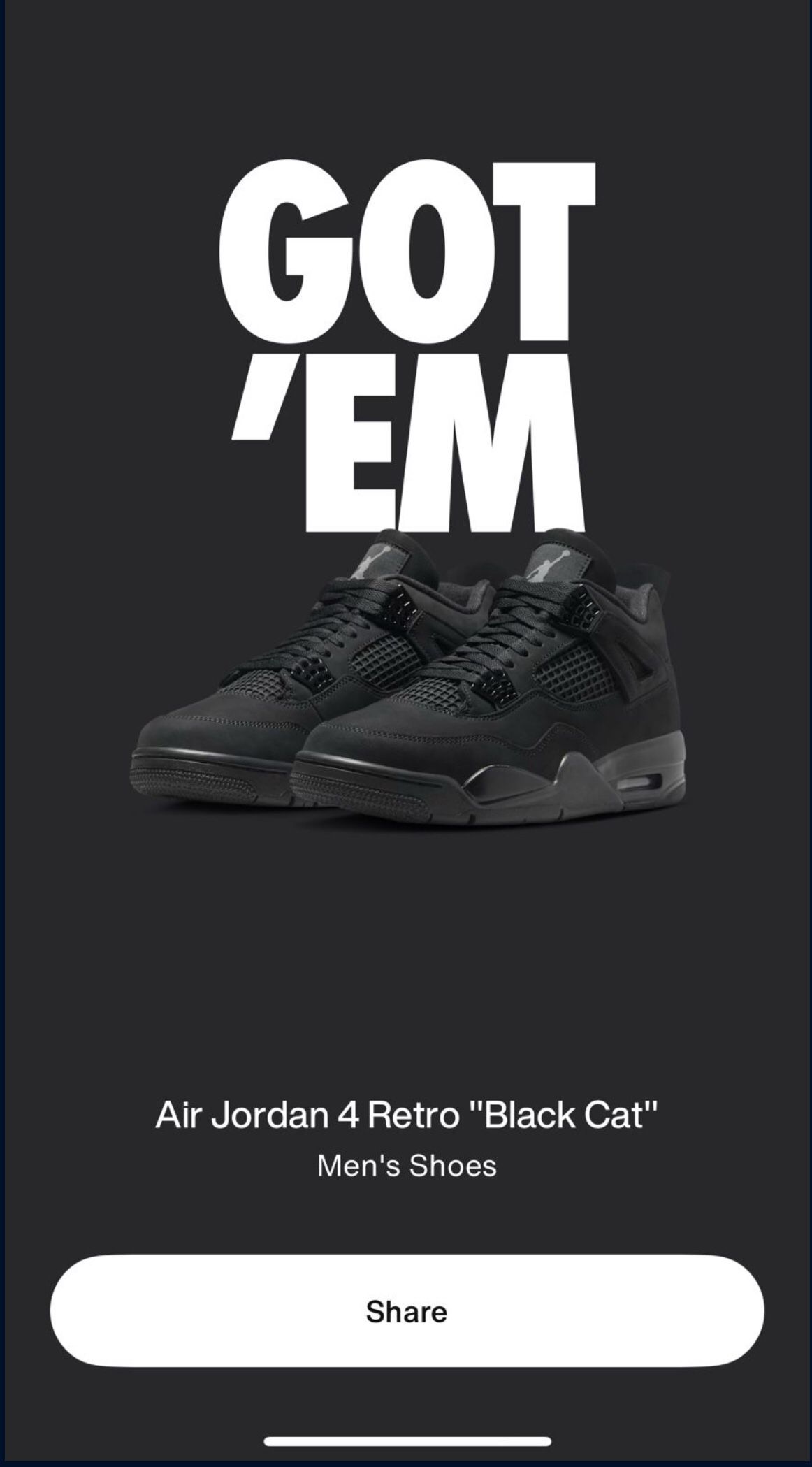 Nike Air Jordan 4 Black Cat Size 10.5