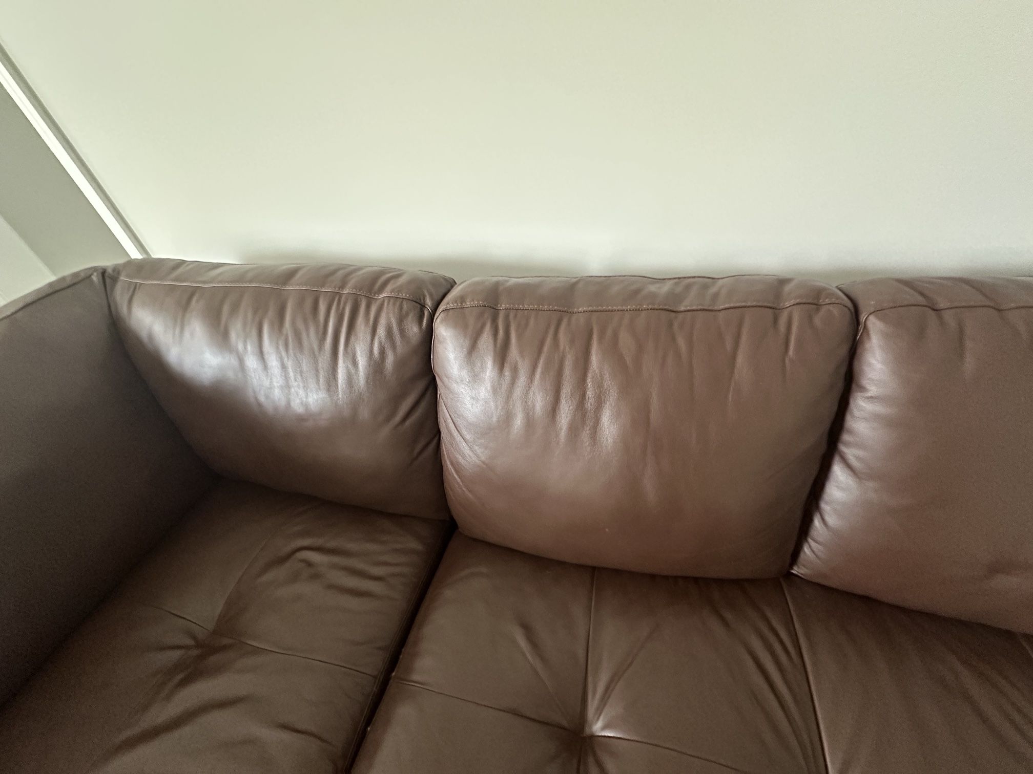 Faux Leather Couch