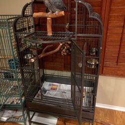 Cage for medium size parrot. (Parrot not included)