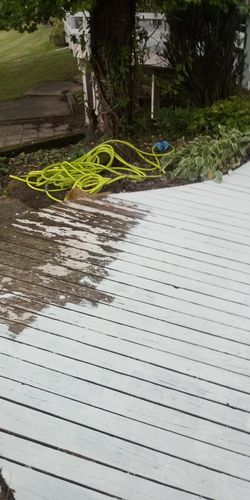 Deck painter