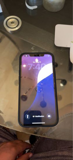 iPhone 12 Pro Max