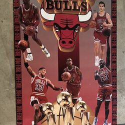 Vintage Chicago Bulls Poster Michael Jordan