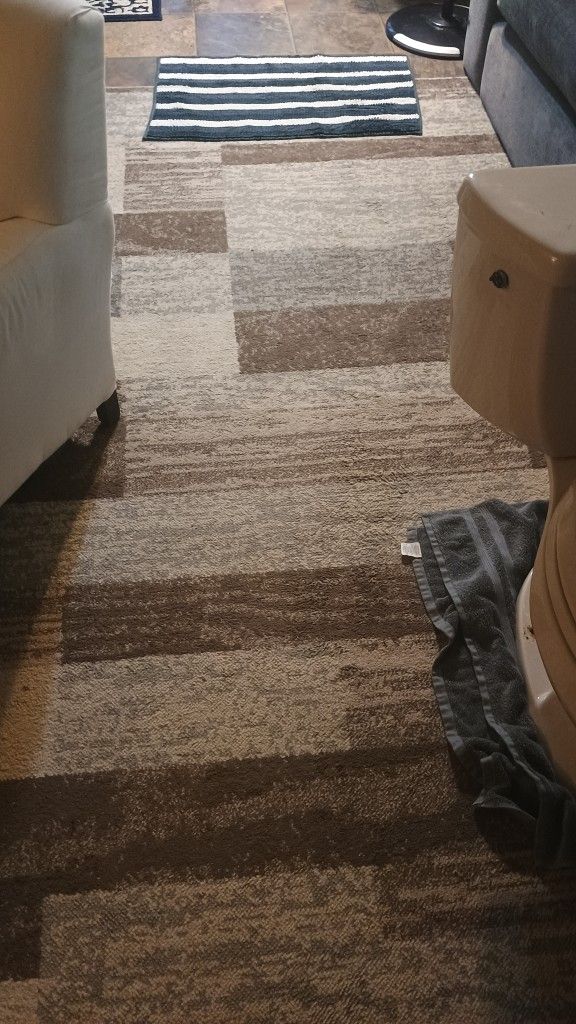 8' X 11' Area Rug