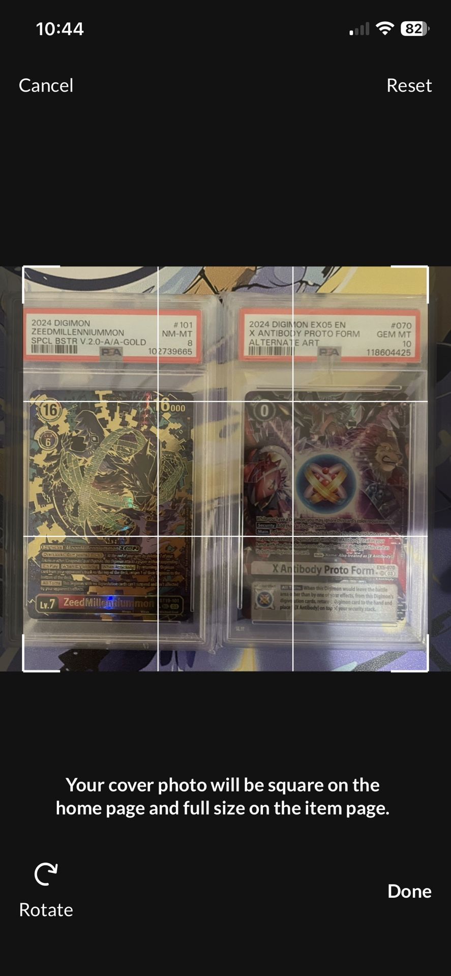 Digimon Slabs Under Market