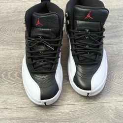 Air Jordan 12 Retro Playoffs