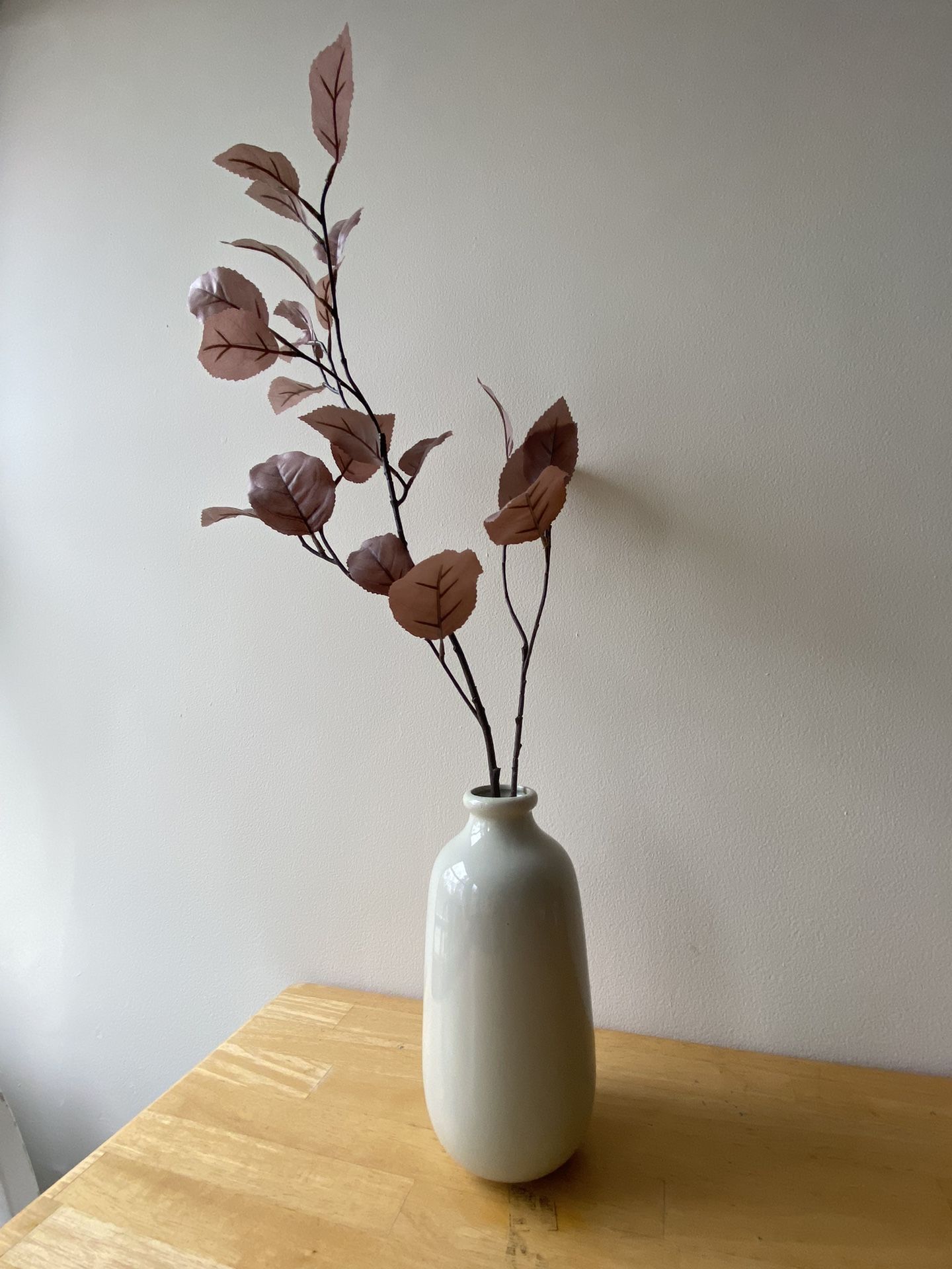 Plant Decorate