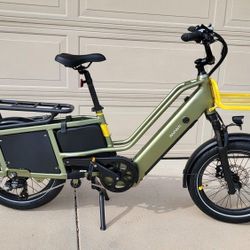 Best Cargo Electric Bike With Racks And Kids Cage