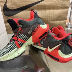 Lebron Witness 7
