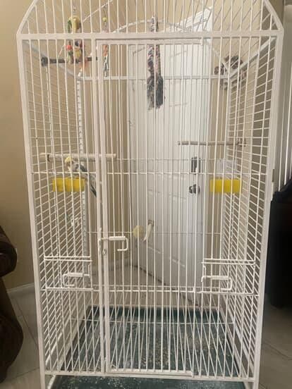 Large Bird Cage Set
