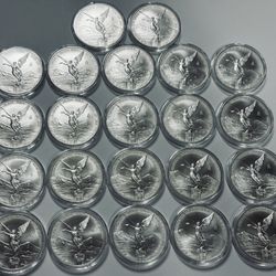 Silver Coin 