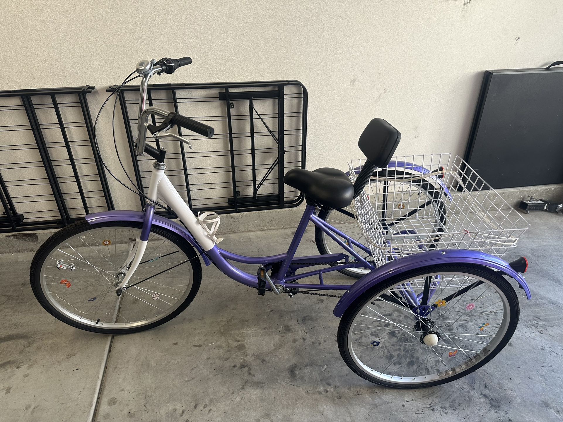 Adult Tricycle