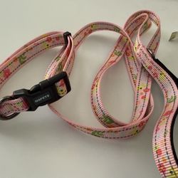 NWOT Medium Dog Collar And Leash