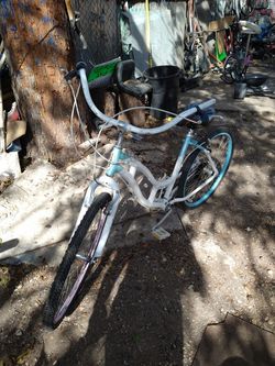 Schwinn cruiser bike