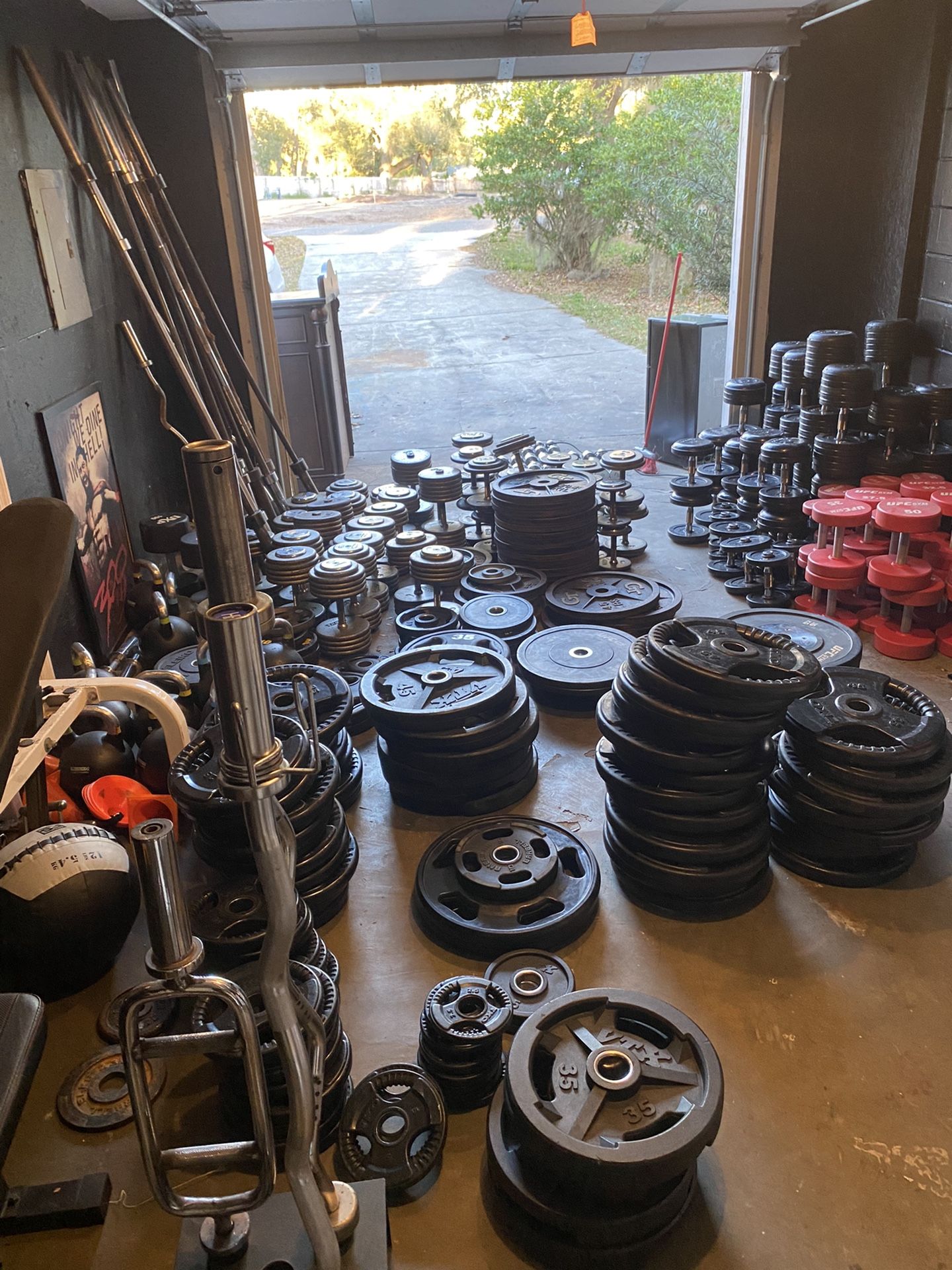 Huge Gym Equipment Sale